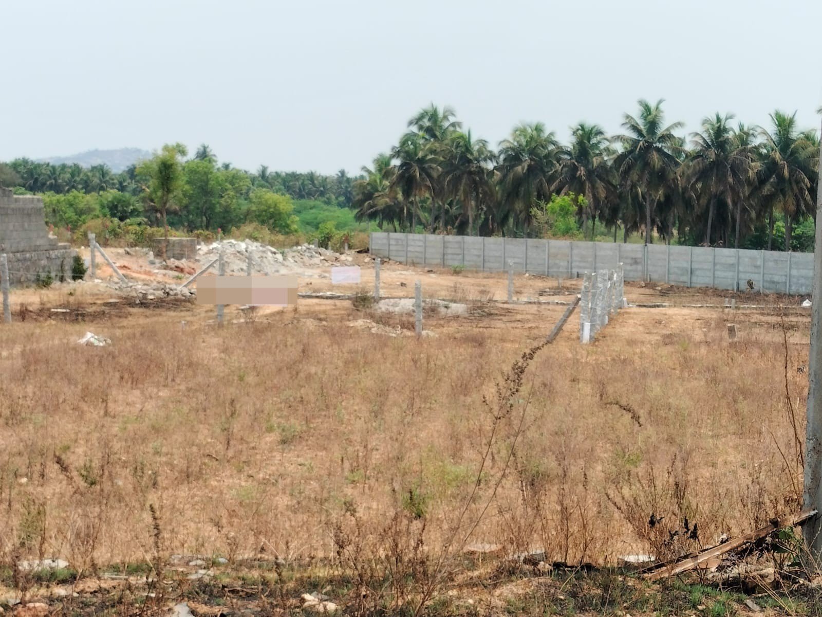 WhatsApp-Image-2024-04-18-at-16.28.53