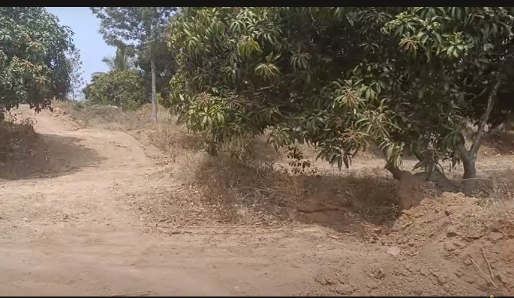 f1014666-26bb-4114-b48a-4a614a1479f4