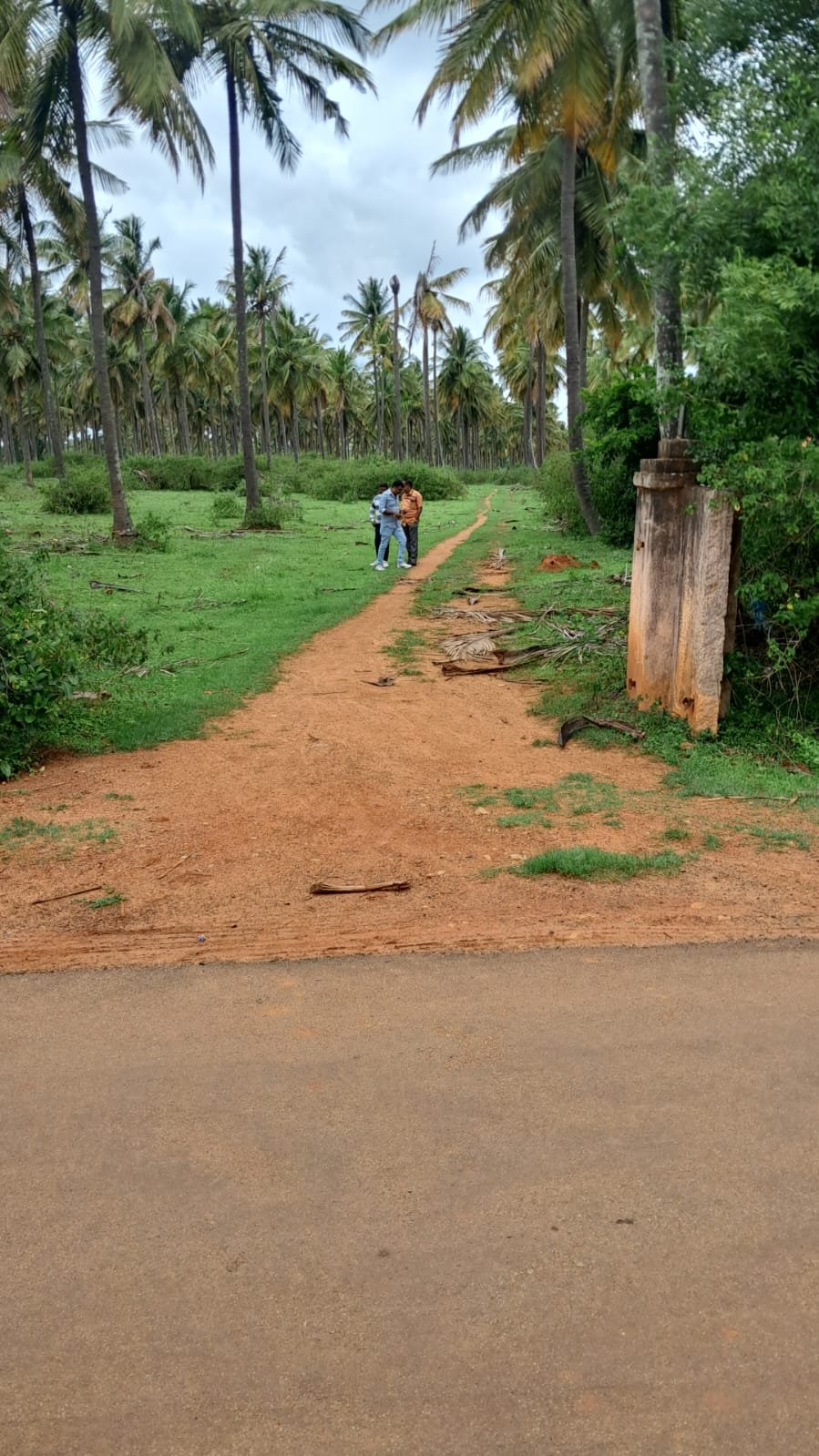 009eb769-c779-4bef-9354-21952fc20b5f