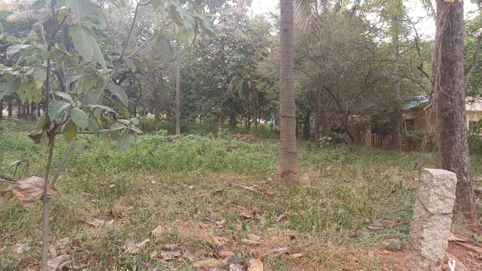 0a441172-1947-44b6-825b-8b3c9eeefc76