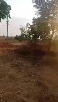 11b320f5-1950-4ed3-8826-285dd9f73bda