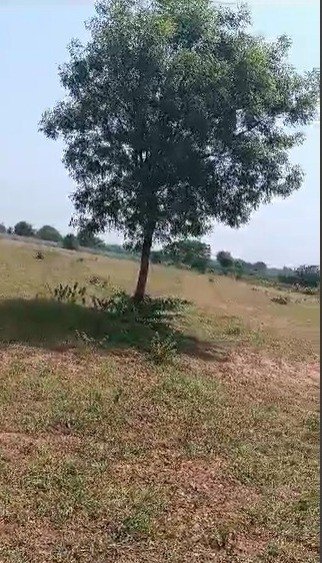 12058c66-9fbe-49fd-be49-fa171b07e01a