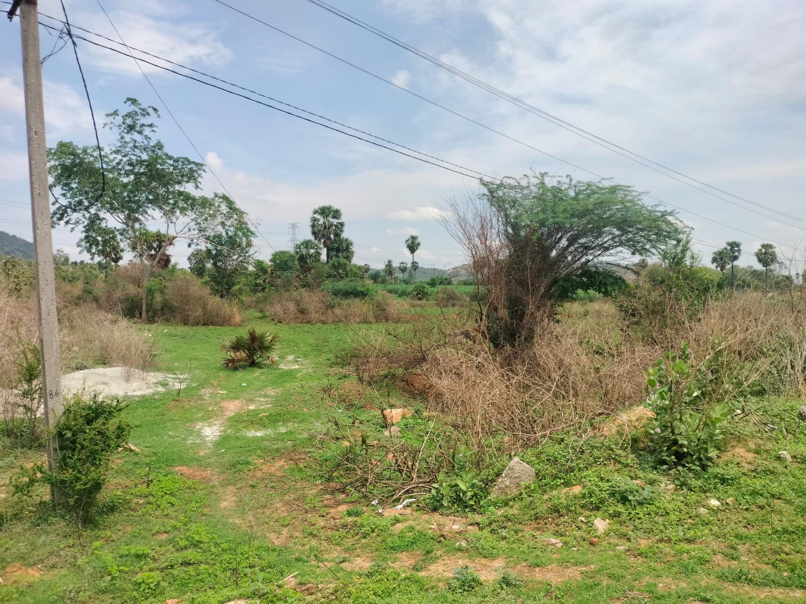 16f44719-8edd-4aec-a139-ada7e52e0afe-1