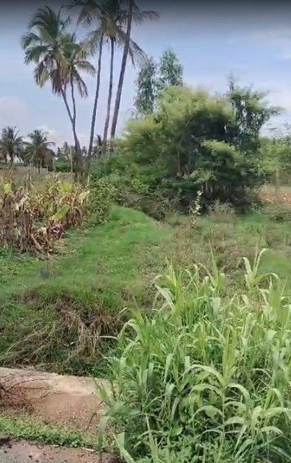 46c805ea-b847-4588-8755-8c5a4ec2e8be