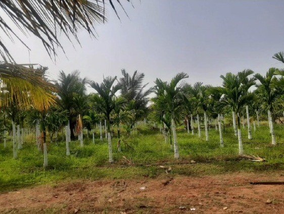 476f603a-8fcf-4599-99cc-346e72f9fe44