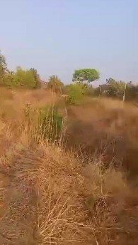 50585a61-6691-42f0-9ab0-fb70a15370f9