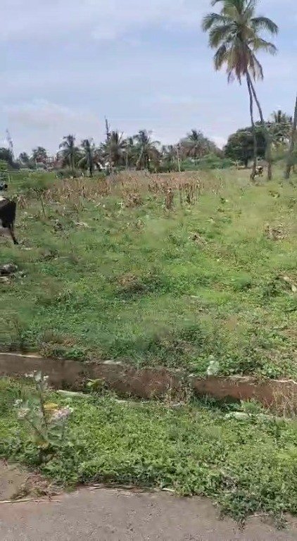 518e1cc7-c329-4521-b482-915a4e0ff62b