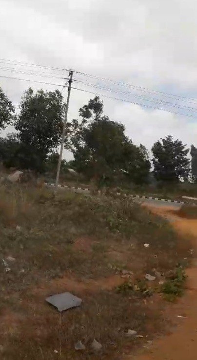 54e9d405-862e-479e-9f71-f85d9f66d08b