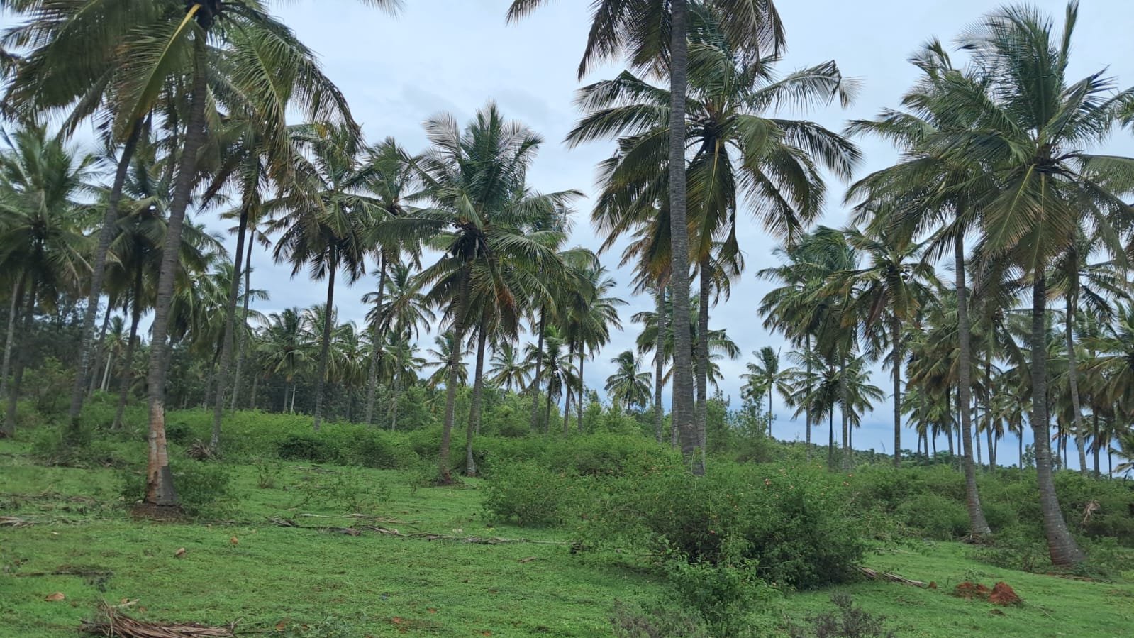 6df6a2dd-d614-4162-b069-14eebcdf0a07