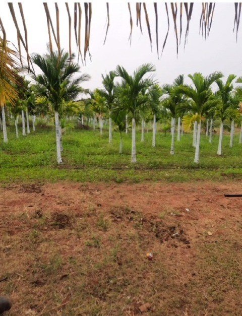 6ea2f25e-8fcc-4b5c-8417-1d882c5cc294