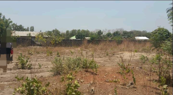 6fedcb8b-439e-4e61-8754-5229e34e511a