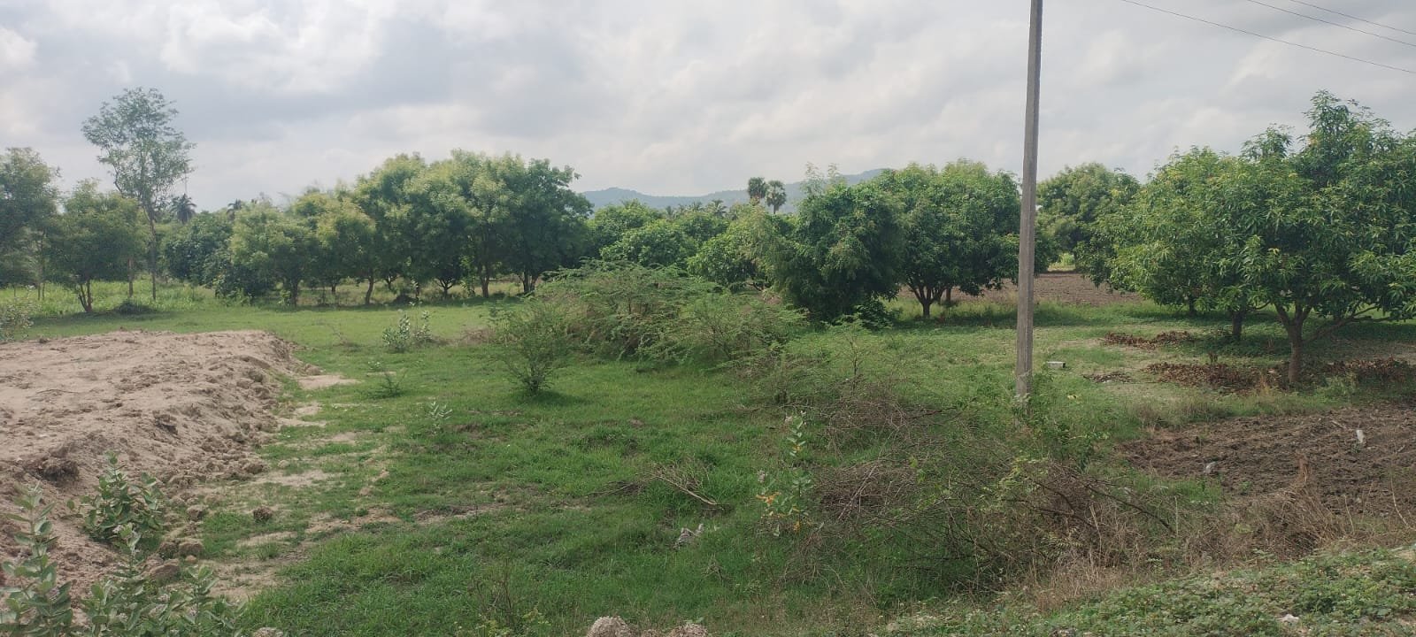 79d3b72b-8e00-4b16-9c77-77f67815d083-1