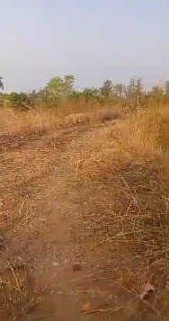 7d93ca60-9013-4d78-bfa6-a3f05b835bda