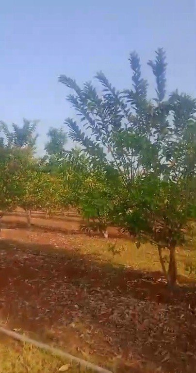 9856167c-a578-4867-81d6-2faa5fdf1431