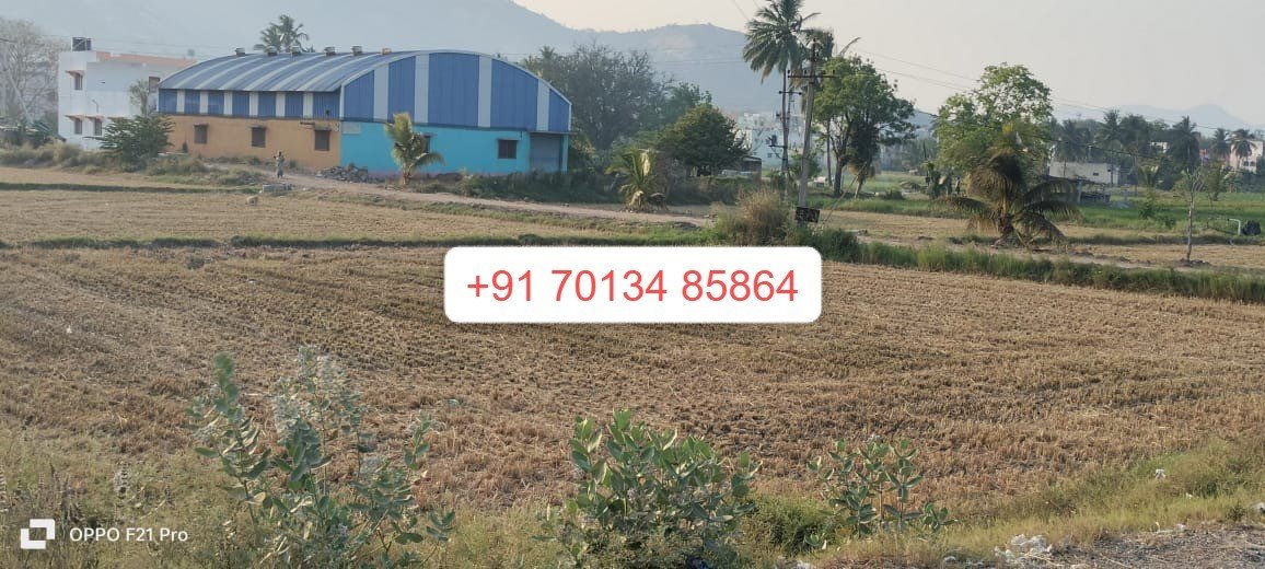 WhatsApp-Image-2024-05-02-at-17.02.16