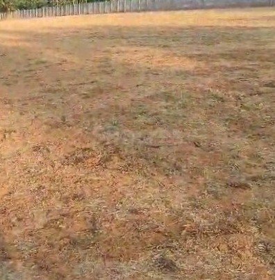 a85e4722-f5bc-45ff-b004-a45ee0862c9b