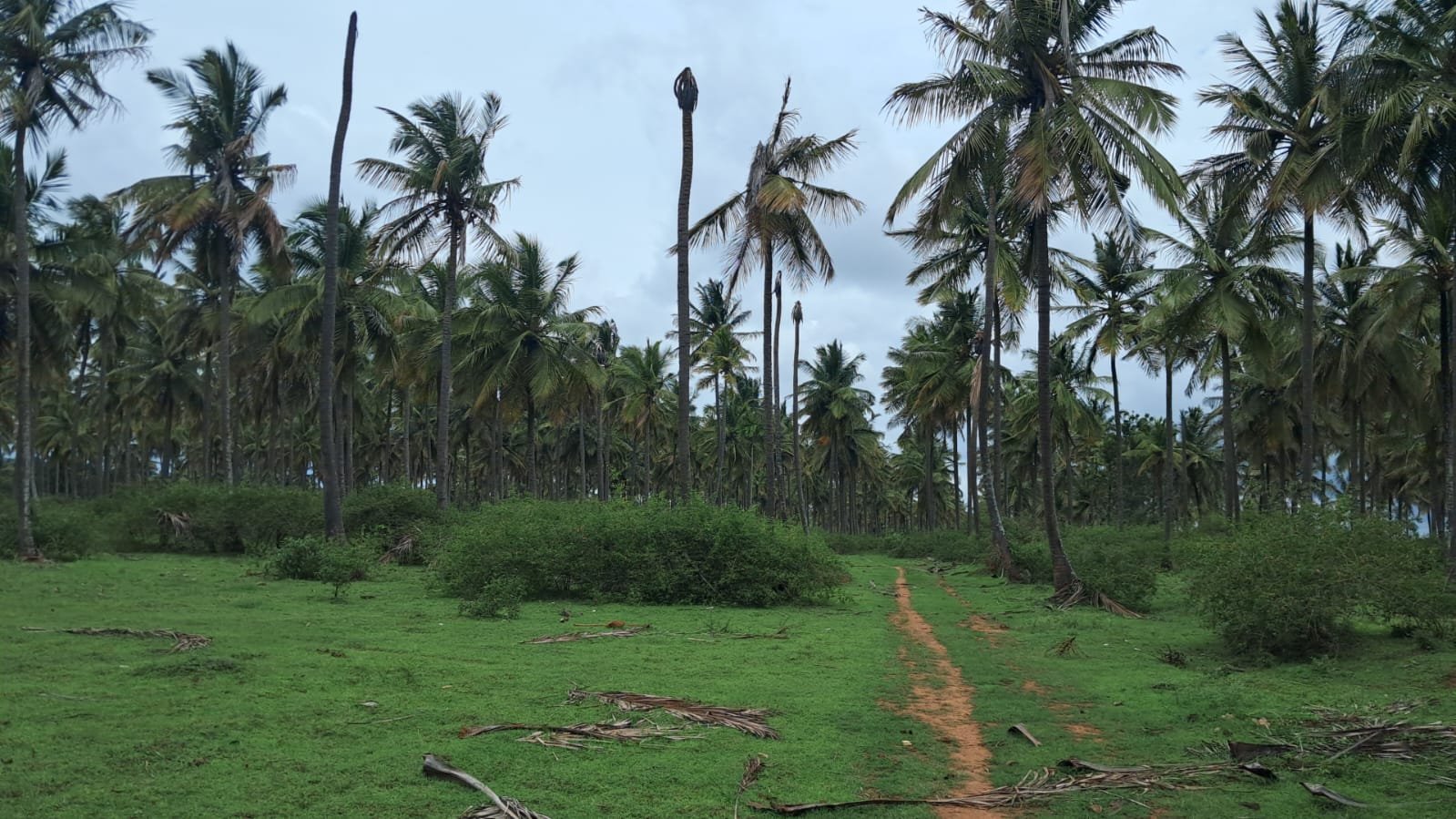 d0800f0f-94bb-4311-8e8e-f3d42ec2b100