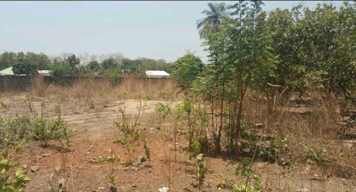 ef9396d3-fcbb-4512-830f-b131df123446