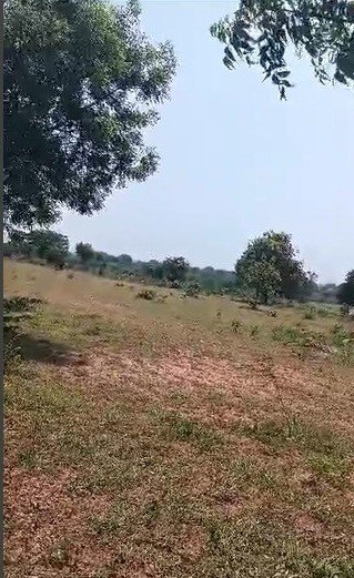 f56a7a13-7dc0-48a0-89d2-f036f4f6ba04