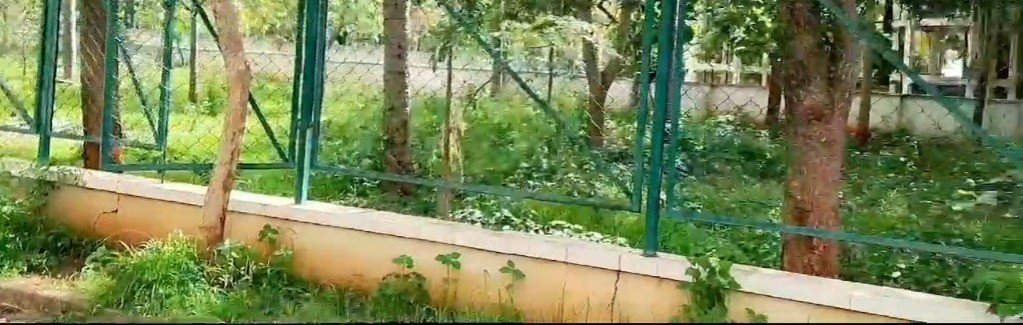 15ef2aca-004b-42a6-a788-2fdd5ac06d1a