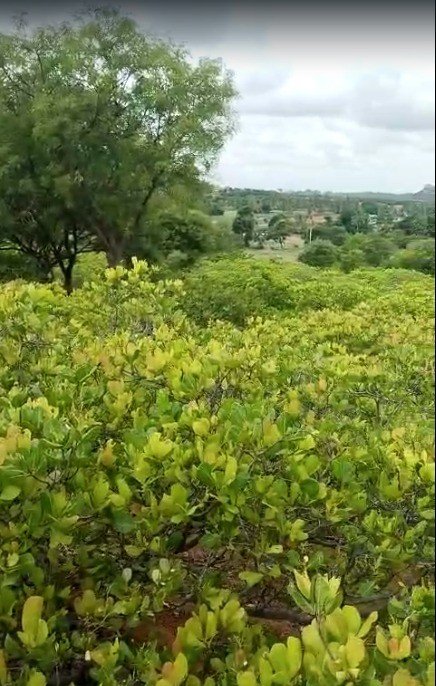 1c6de08d-8a7d-45f2-a253-3257f70fc0b5-2