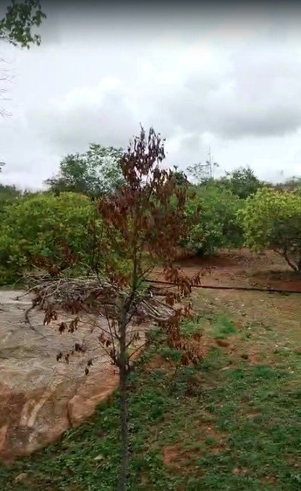 23ce9aac-3b3b-4581-b360-02e451ab77d7