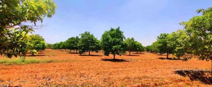 29518994-89fb-4be7-a01b-d06850747da4