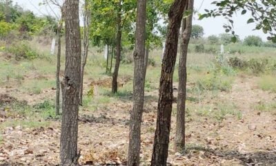 447836671_1016343113239686_4622848434131725229_n