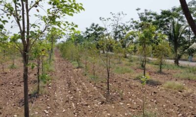 447862107_1016343209906343_7893968916973659226_n-1