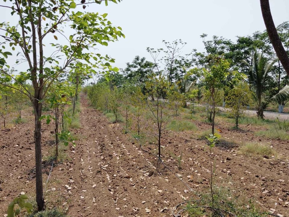 447862107_1016343209906343_7893968916973659226_n-1