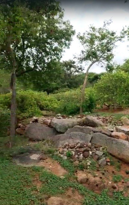 6856e951-9541-4efc-a9ef-f315e0d29511