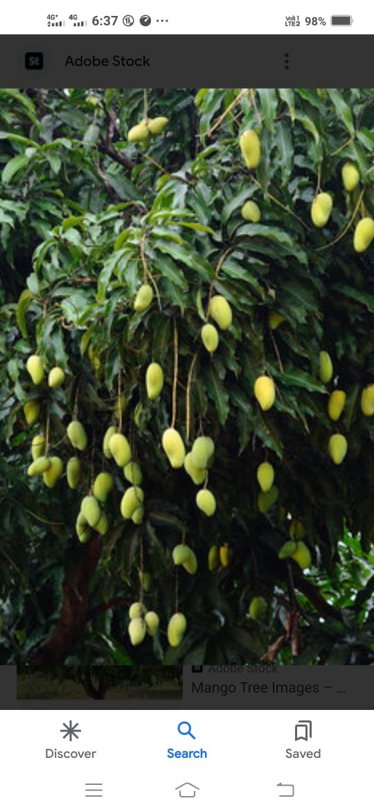 830ec51a-c50b-4bb6-81fe-26573d8efb77