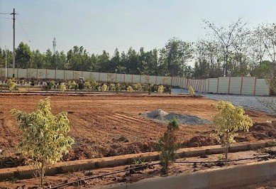 8b5ff2ab-afff-4177-b353-2c601152a3c7