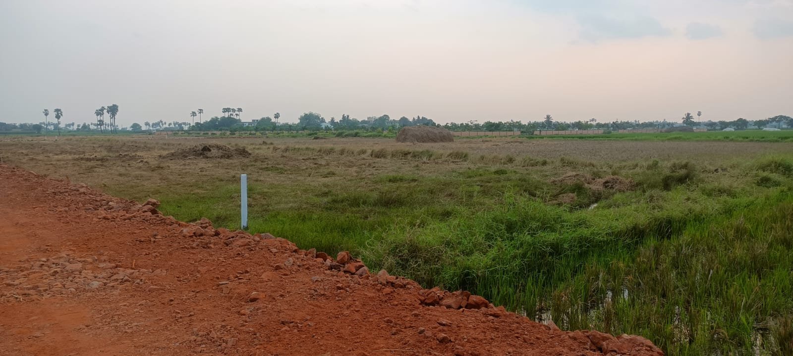 WhatsApp-Image-2024-06-06-at-5.27.18-PM-1-1