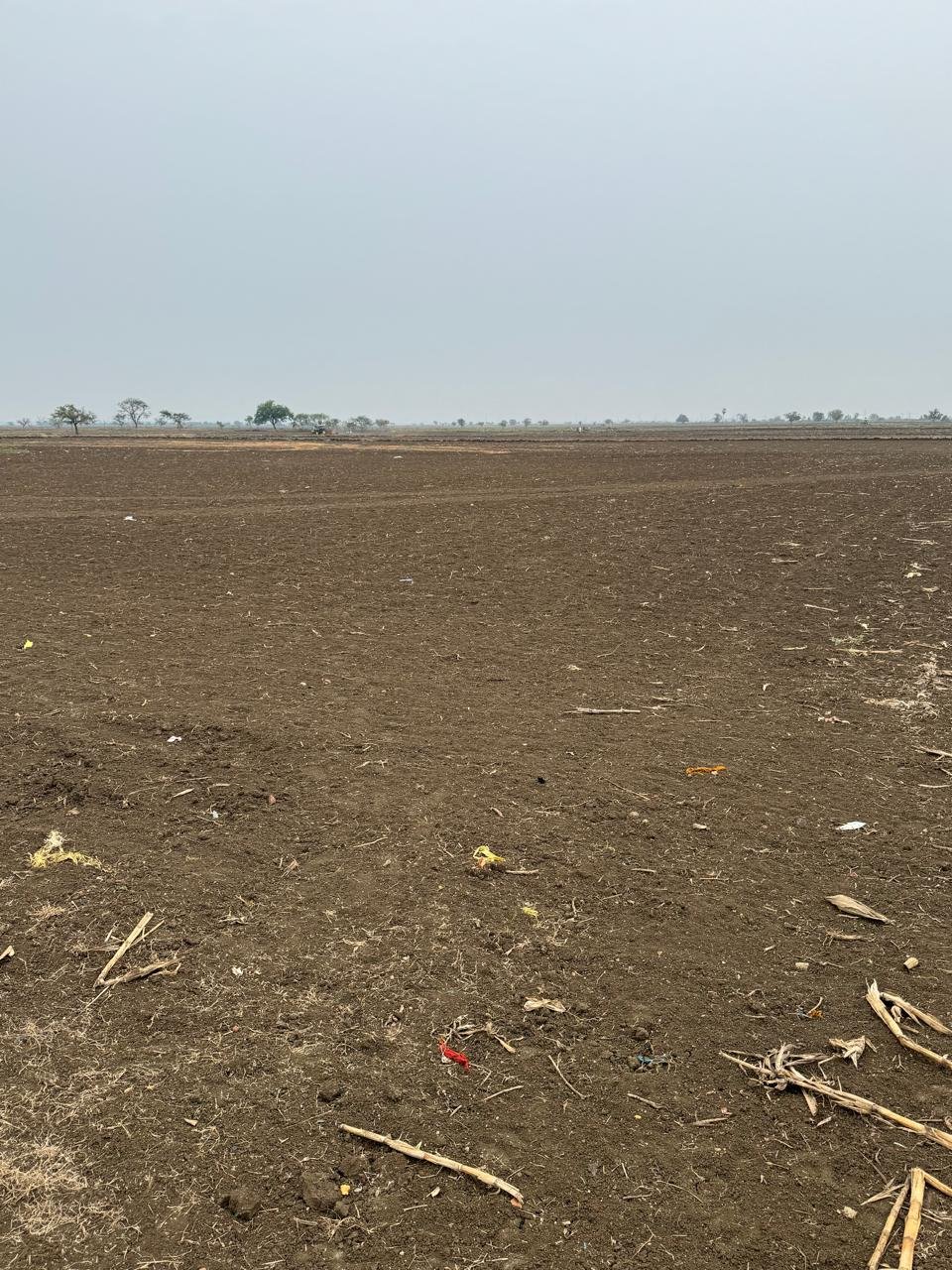 WhatsApp-Image-2024-06-11-at-15.52.19