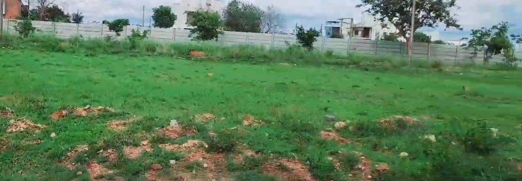 WhatsApp-Image-2024-06-11-at-16.08.37