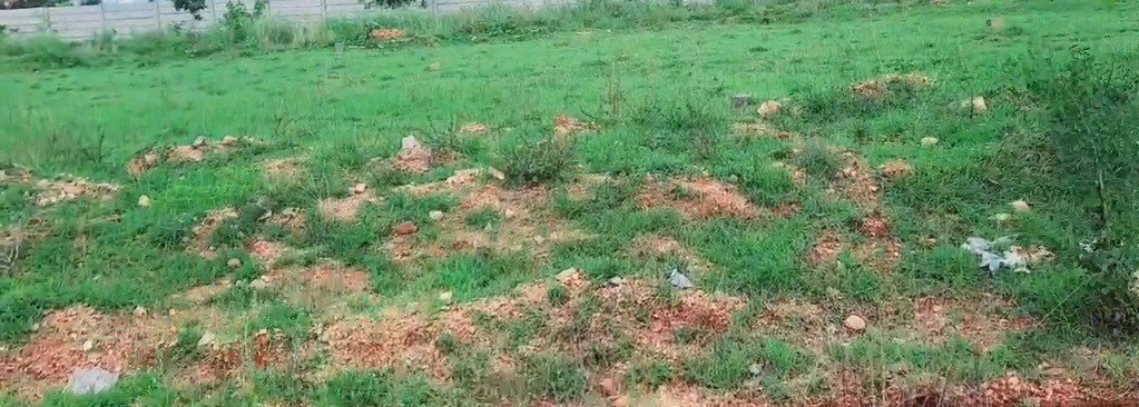 WhatsApp-Image-2024-06-11-at-16.08.38