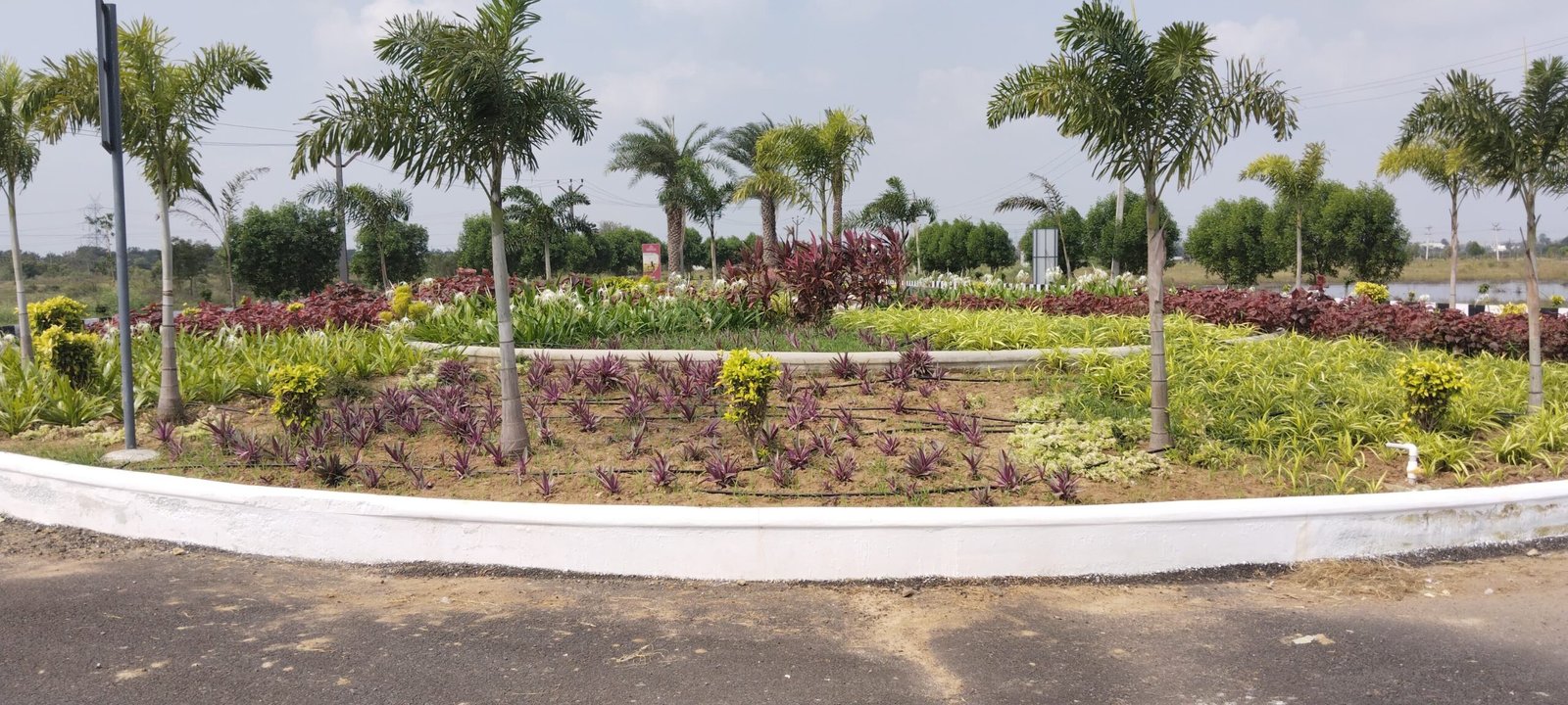 WhatsApp-Image-2024-06-11-at-18.39.02-2