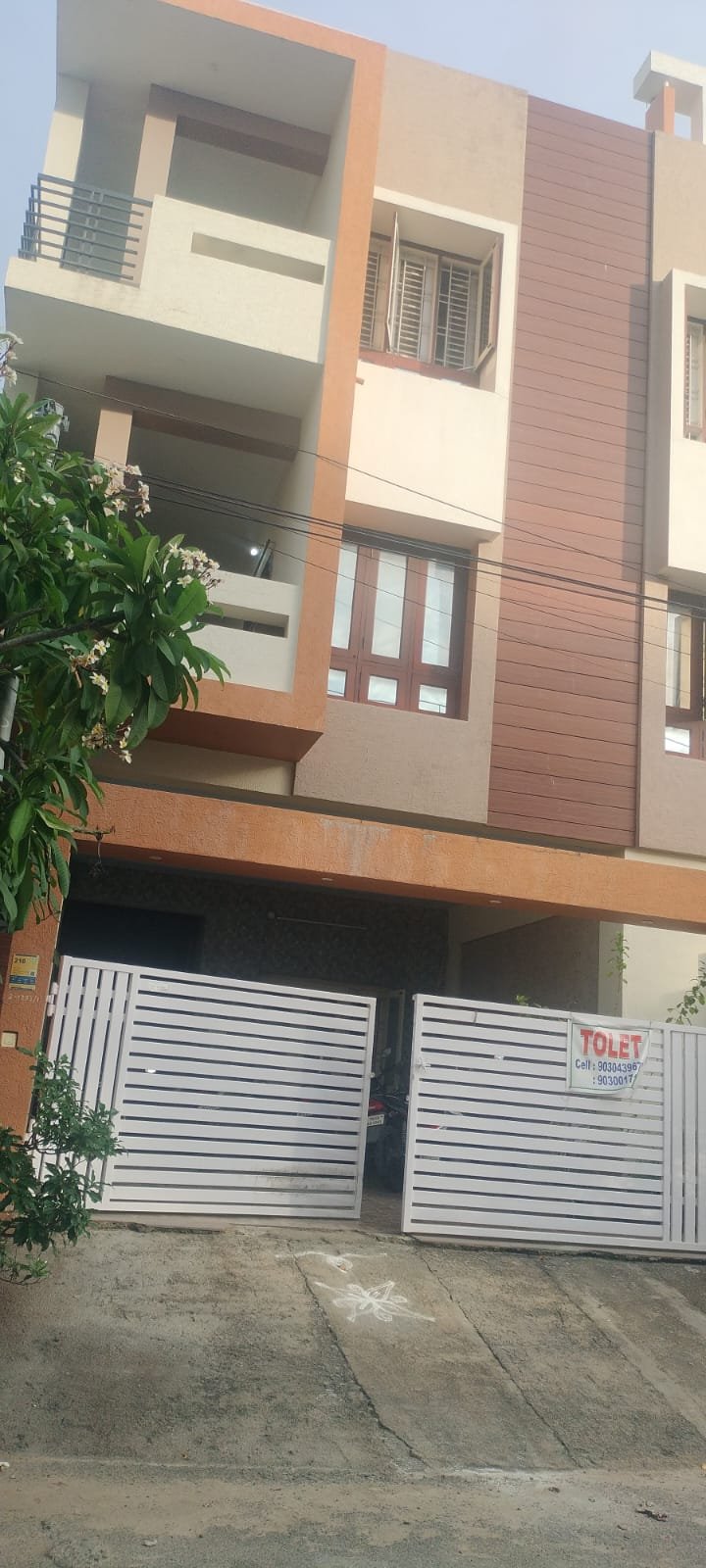 WhatsApp-Image-2024-06-12-at-17.37.11