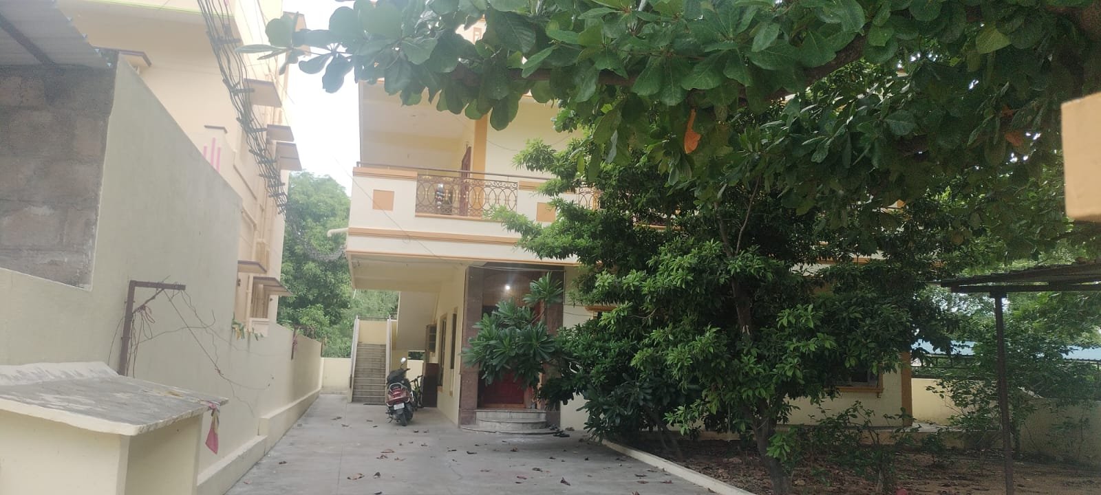 WhatsApp-Image-2024-06-12-at-17.52.42