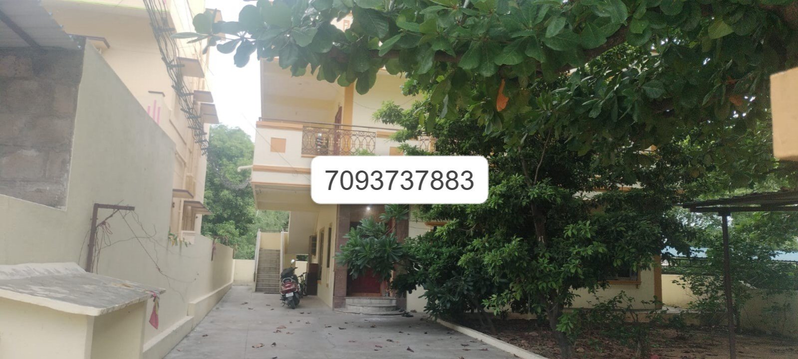 WhatsApp-Image-2024-06-12-at-20.11.00