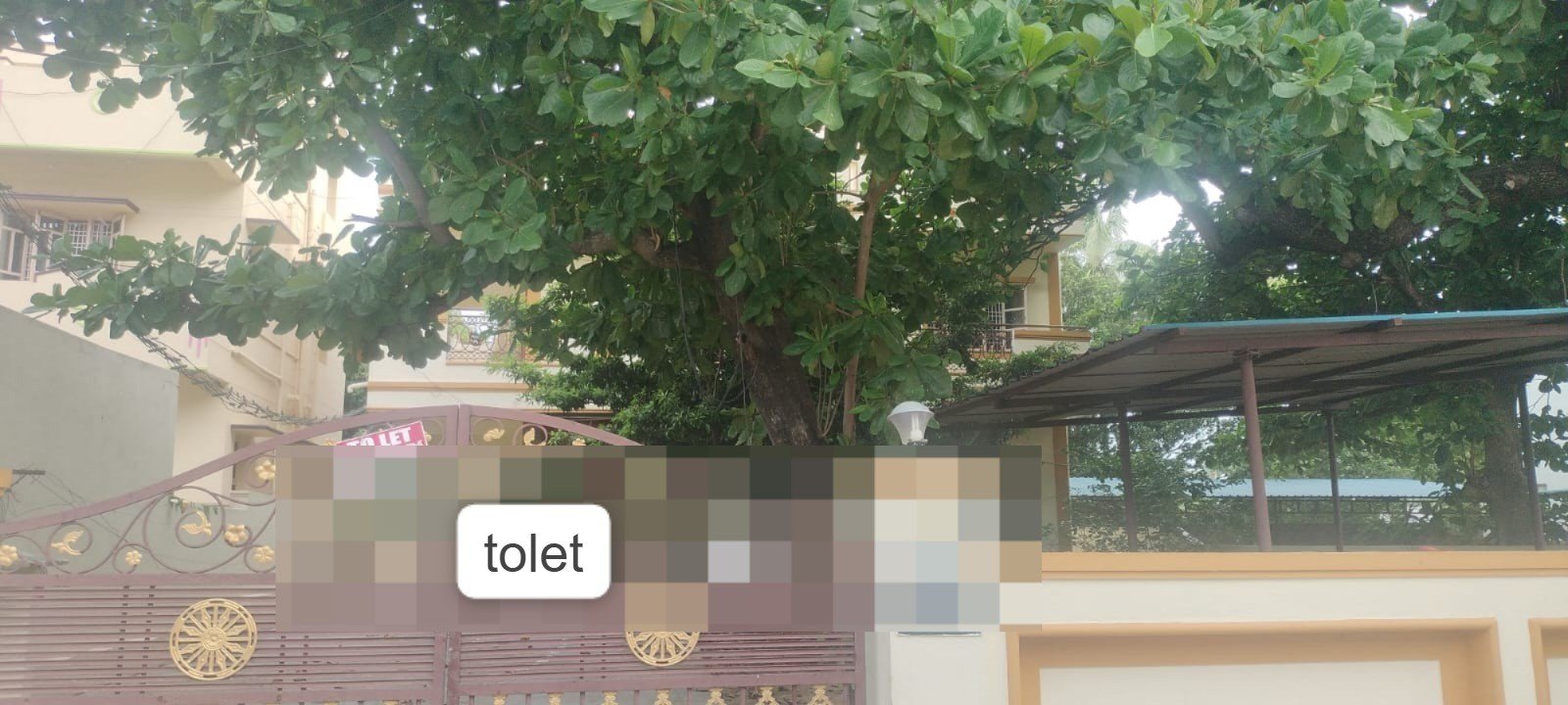 WhatsApp-Image-2024-06-12-at-20.13.19