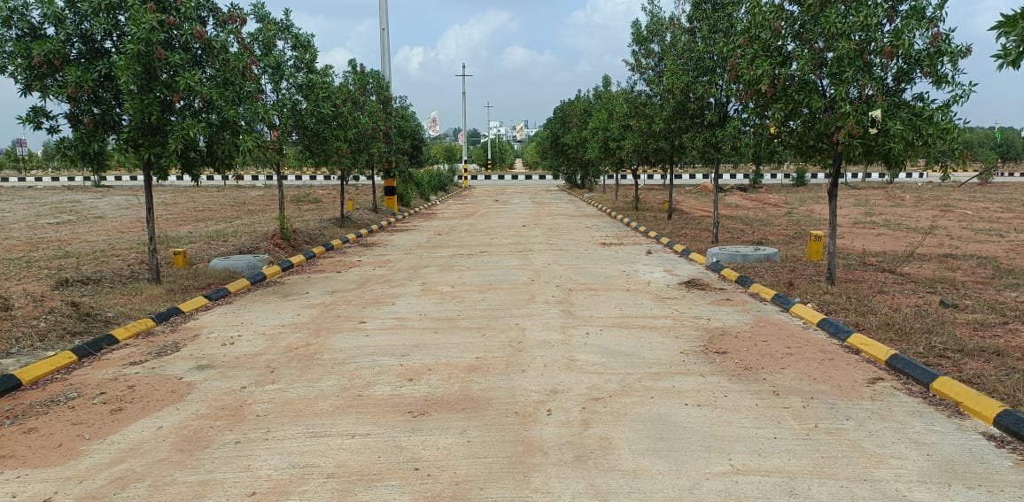 WhatsApp-Image-2024-06-13-at-17.06.52