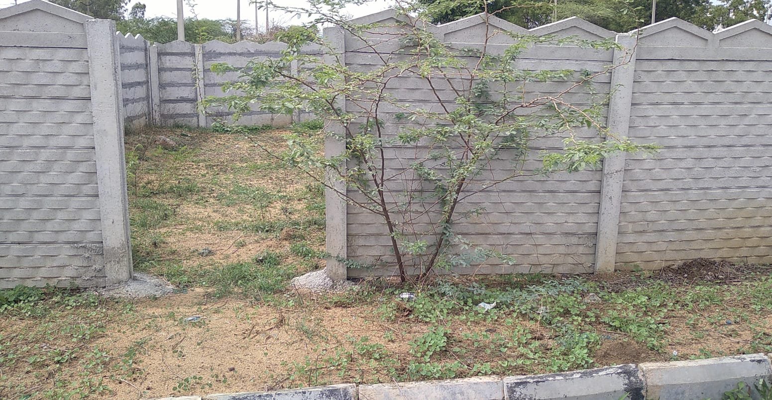 WhatsApp-Image-2024-06-13-at-17.20.35