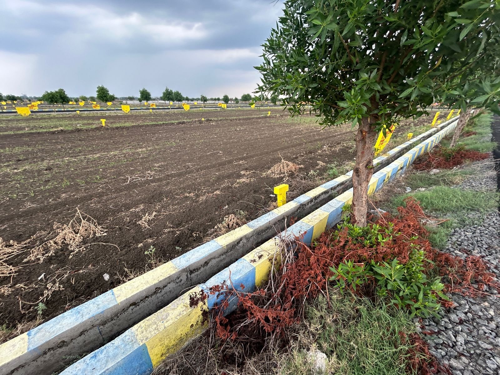 WhatsApp-Image-2024-06-19-at-17.42.35