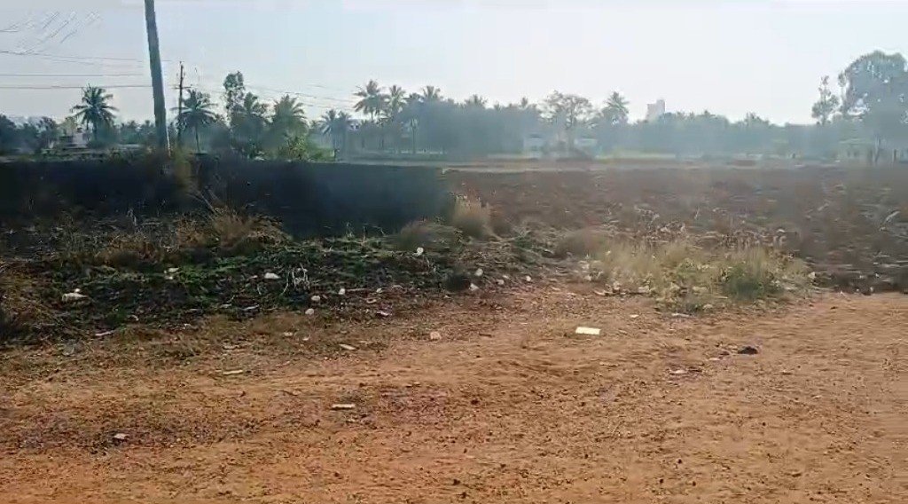 WhatsApp-Image-2024-06-20-at-11.00.00