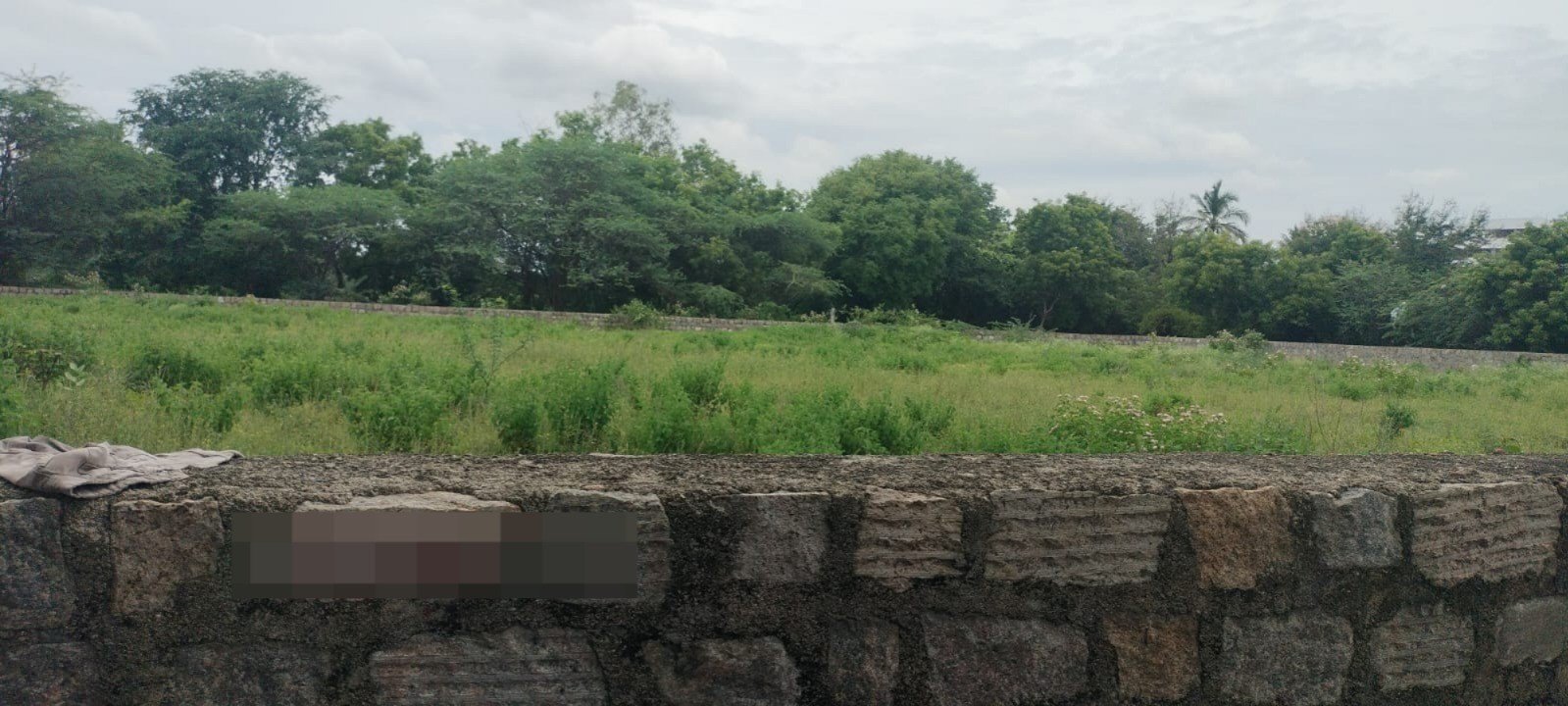 WhatsApp-Image-2024-06-26-at-13.25.44