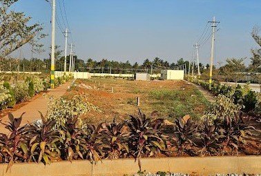 d0fdf754-8459-4c07-9448-1e6d09404222