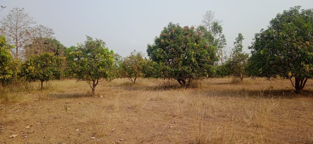 09ad2c55-92c6-49a7-bd52-f0e62e617be7-1