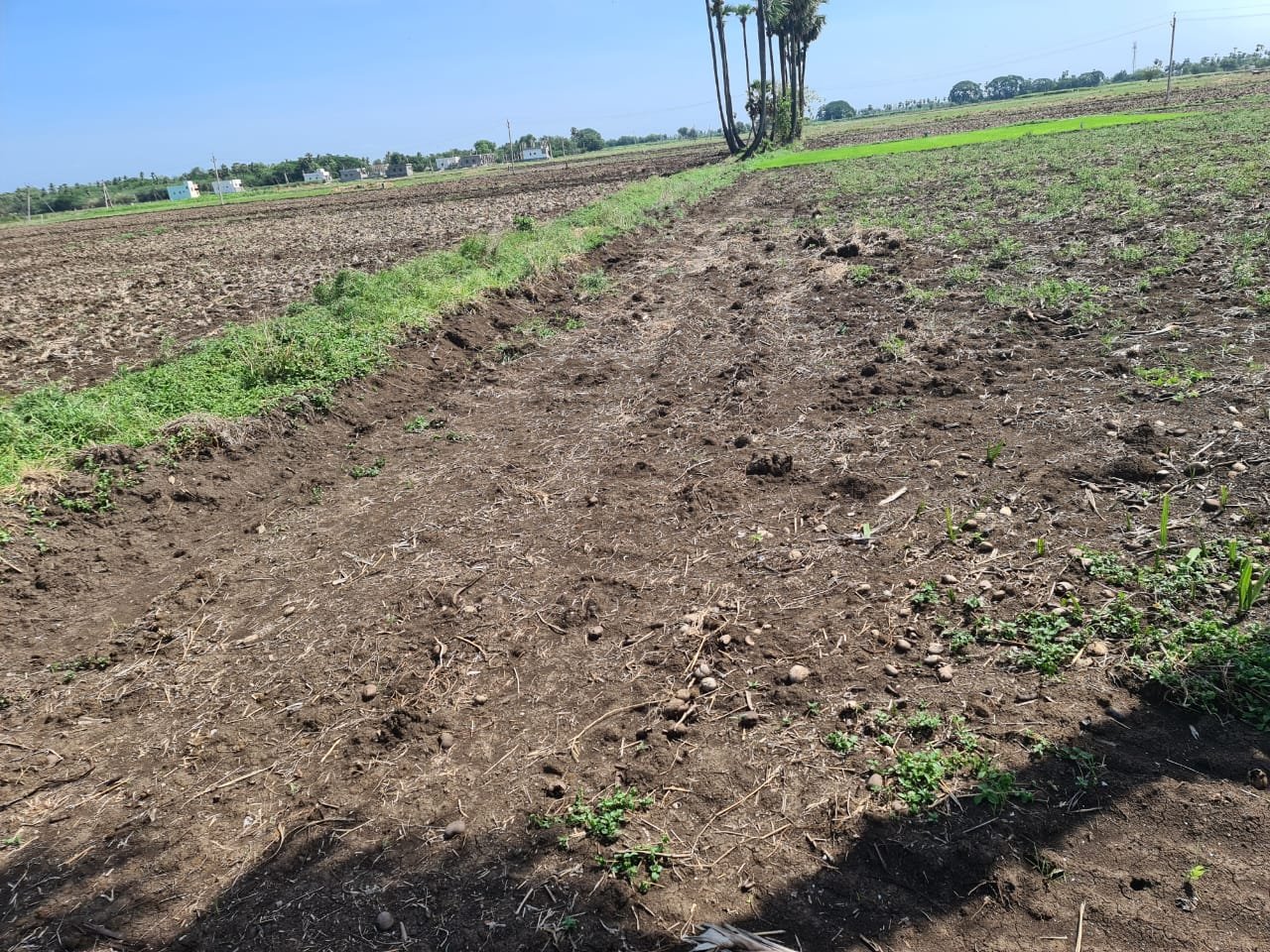 1b547f65-651e-4e3d-99b0-2e3d93875dba